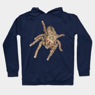 Jumping Spider Tabby Hoodie